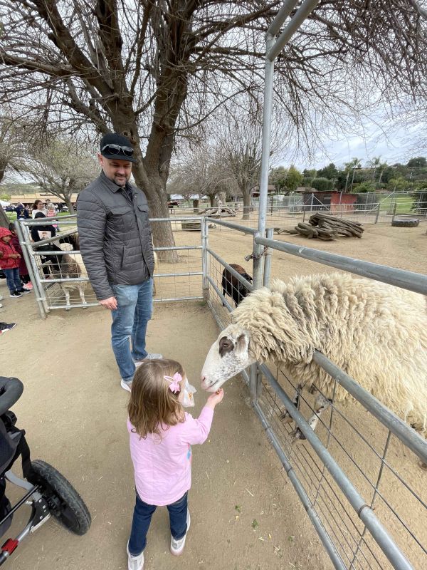 At a Local Farm Feeding the Animals